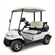 2-Seater Electric Golf Car