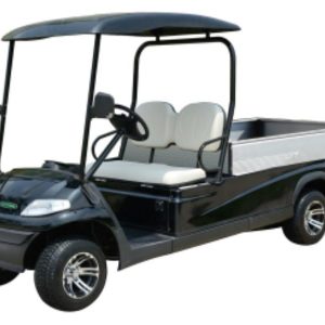 Xe điện chuyên dụng Model LT-A627.2.H8