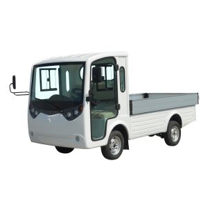 Xe điện chuyên dụng Model LT-S2.B.HP